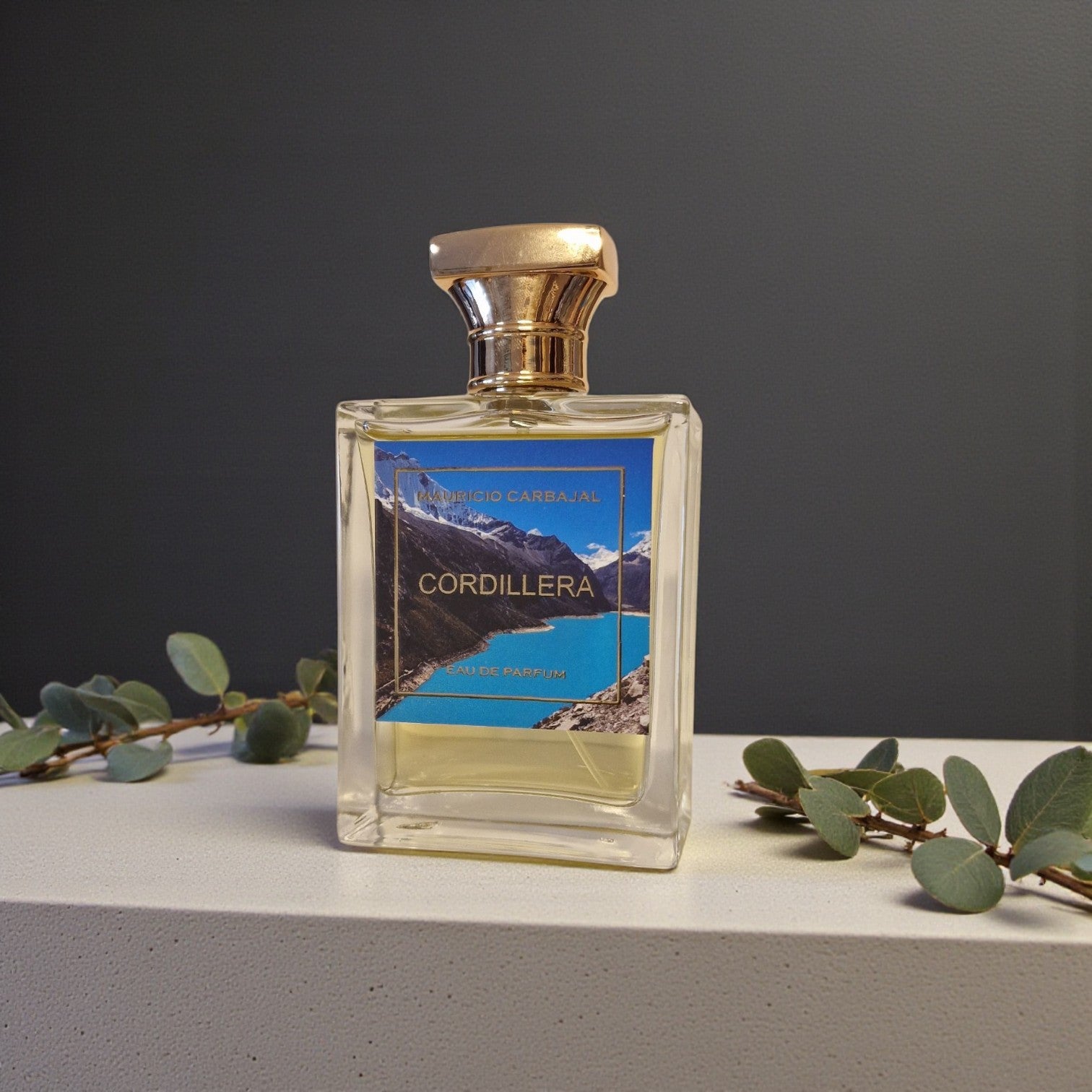 Frasco del Perfume Cordillera de Mauricio Carbajal  sobre una encimera clara y con un fondo tranquilo y hojas de eucalipto alrededor 