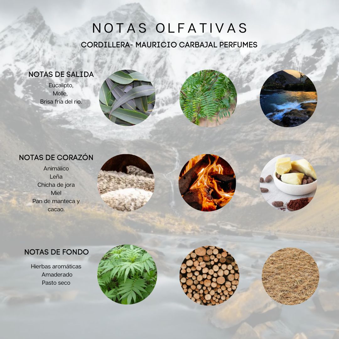 Cuadro con las imagenes de las notas olfativas del perfume  Cordillera de Mauricio Carbajal, eucalipto, manteca de cacao,miel,hierbas aromáticas, maderas etc