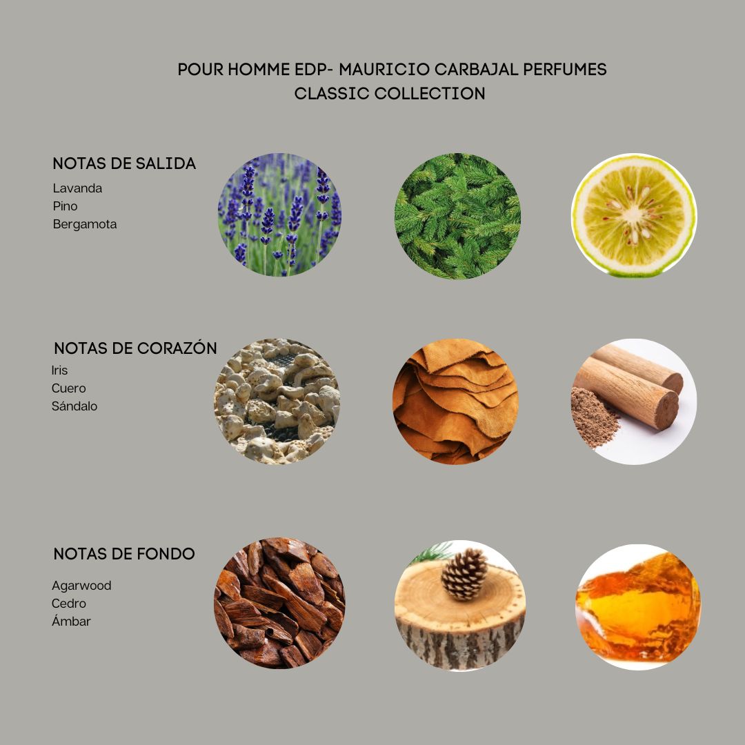 Notas de salida del perfume Pour Homme de Mauricio Carbajal donde se ve las lavandas bergamota cedro iris y cuero 